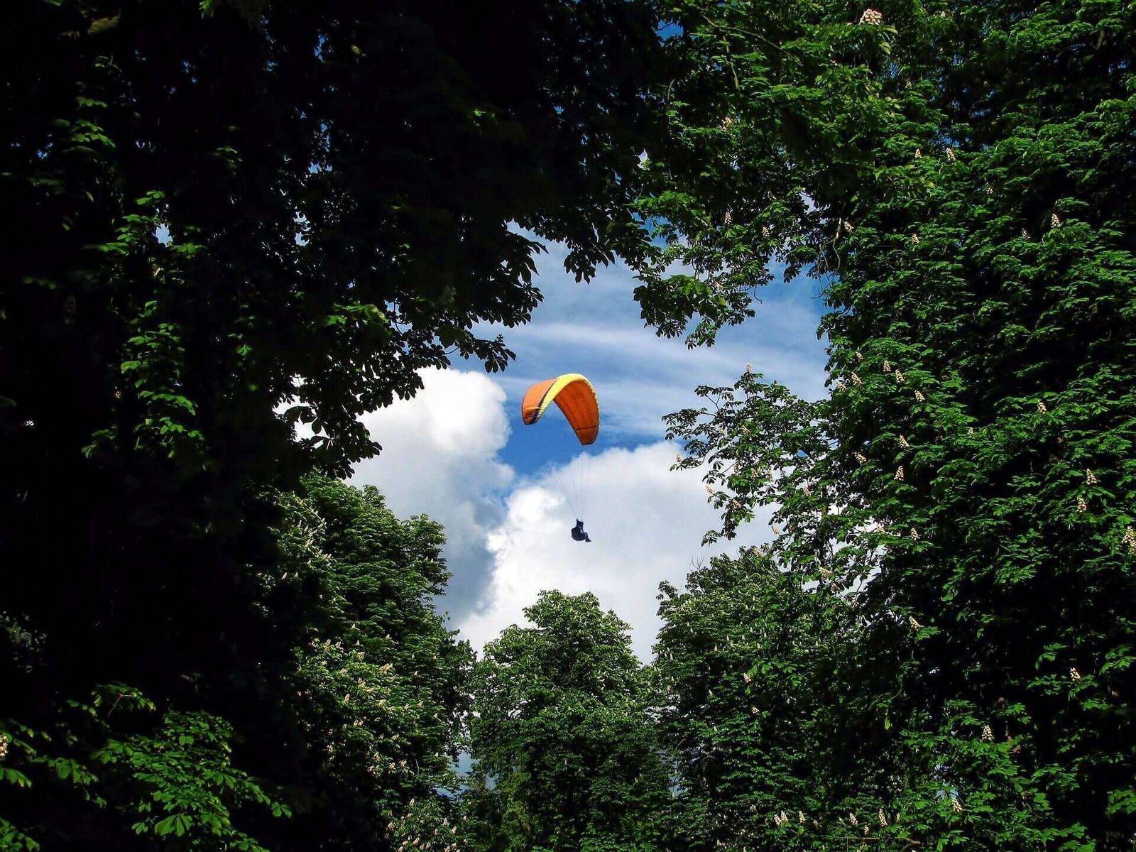 Skydiving from Mt. Everest